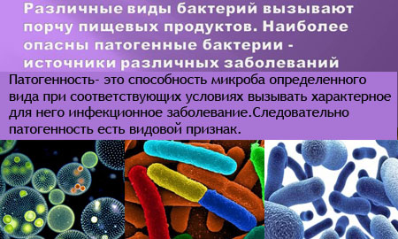 Патогенные микроорганизмы