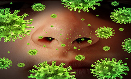 Бактерии проникают в организм